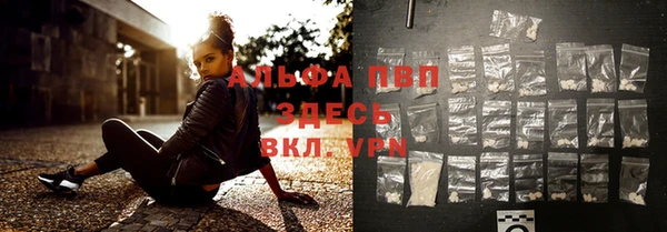 стаф Баксан