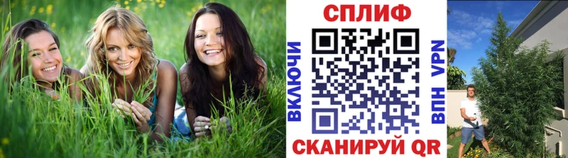 Канабис ГИДРОПОН  Черепаново 